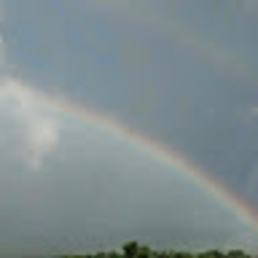 Meet your Posher, Activiwees